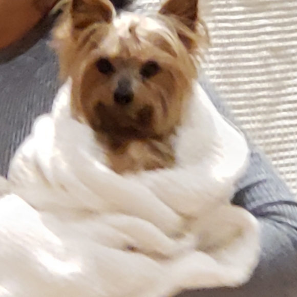 Massy xoxo ♡ - Picture 3 of 16